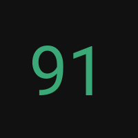 91vip