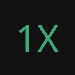 1х1
