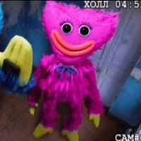 id567651860