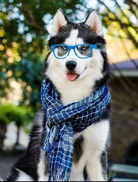 Aleks_212310