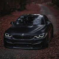 id_stalker_1