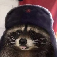 FlexLOL