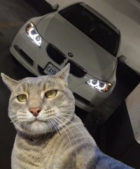 TGE
