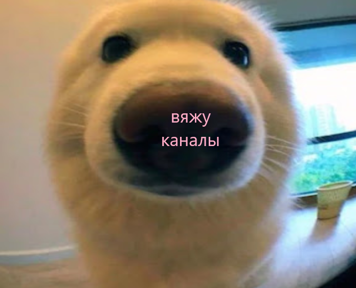 BINDBA