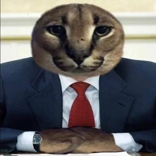 Чудо1