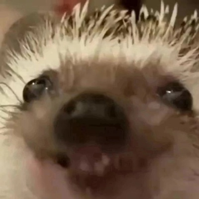 tshihlov