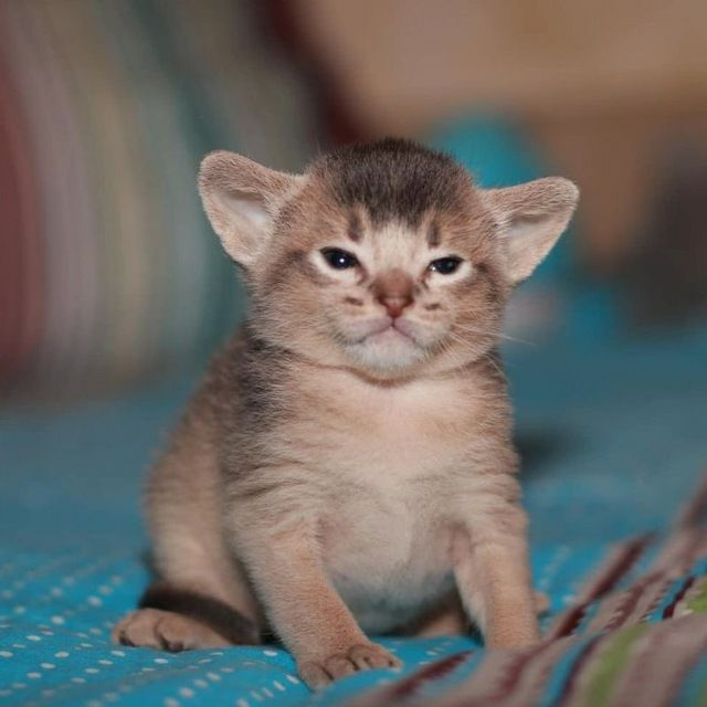 505
