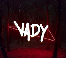 Vady