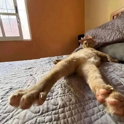 ыфвфывыфвыфвфыв