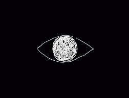 spayfir
