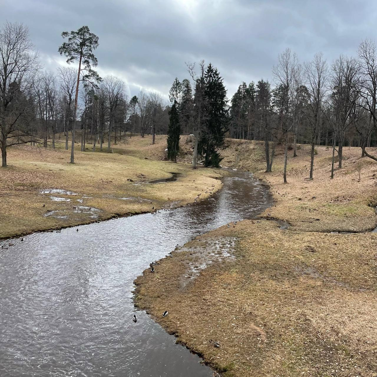 ментол