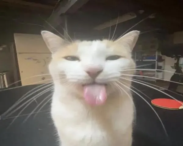 fweaky