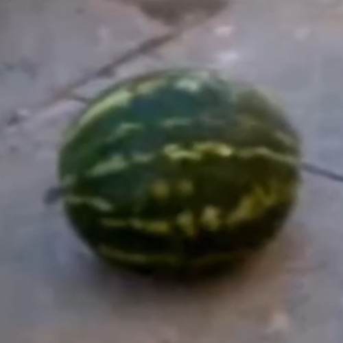 arbuzarbuz