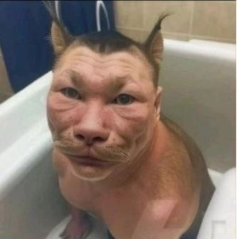 Barbarahuyak