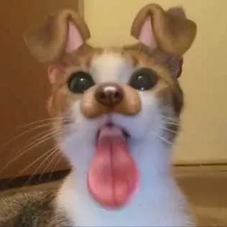 yukseleak