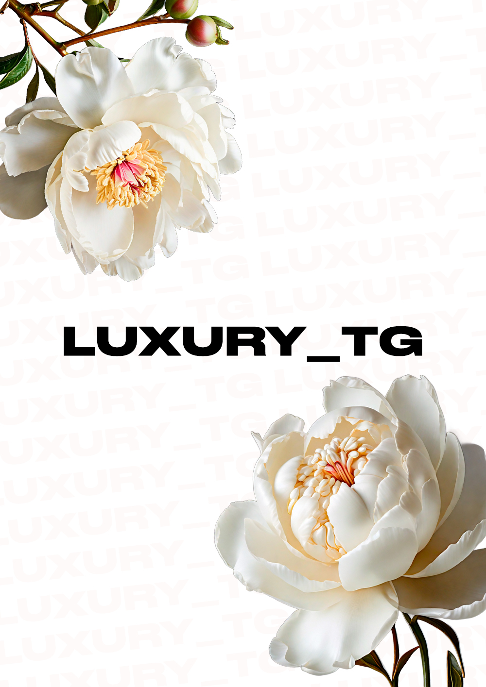 Luxury_TG