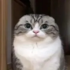 id534533986