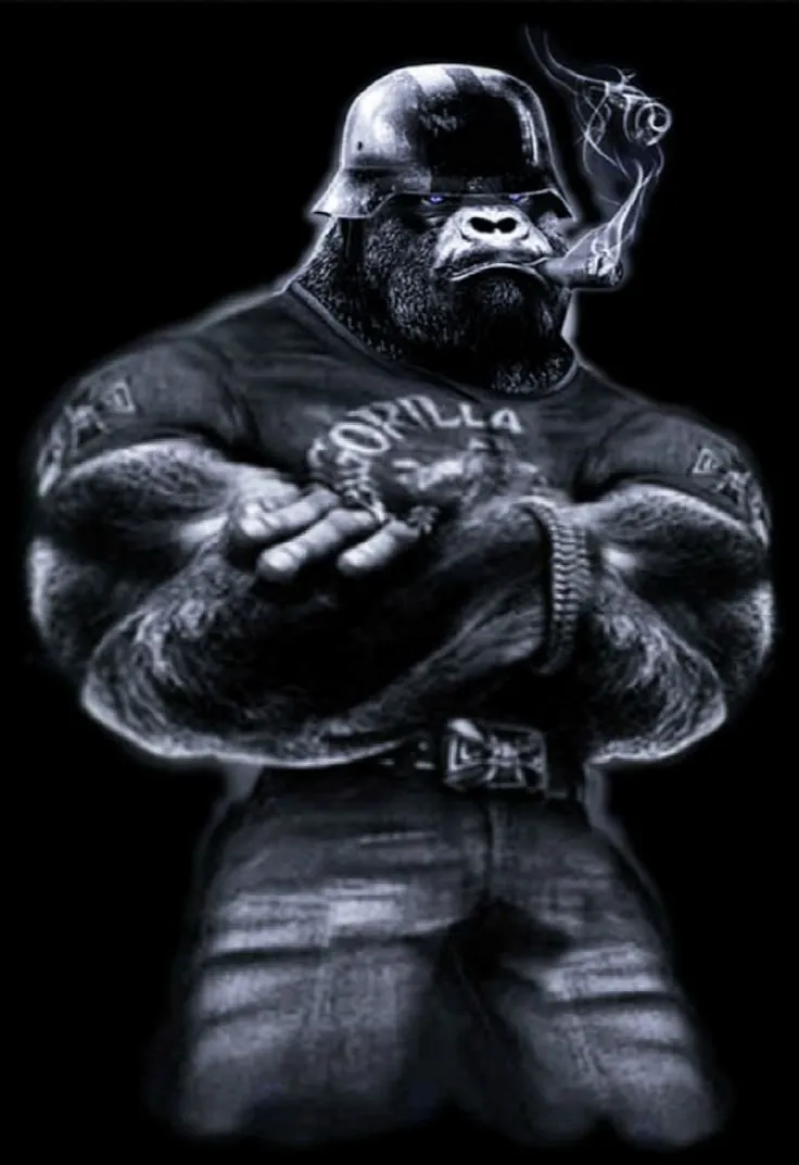 boxer123