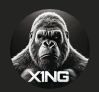 X1Ngg
