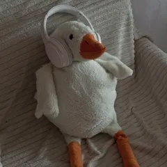 strueer