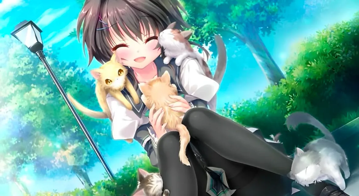 Luci