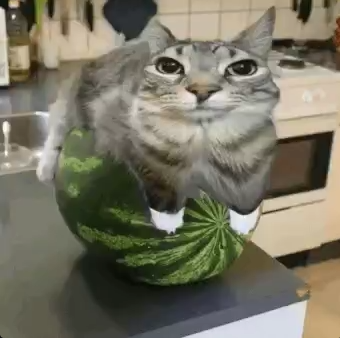ааааааа848448