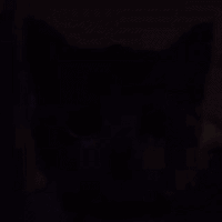 WhatACat