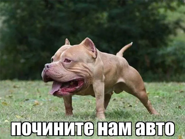 hubratin