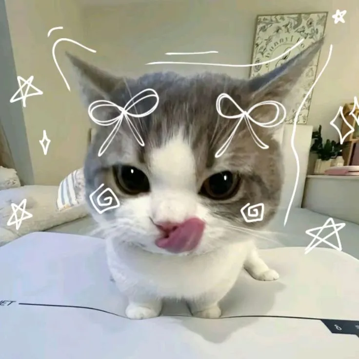 dam_dim_pim
