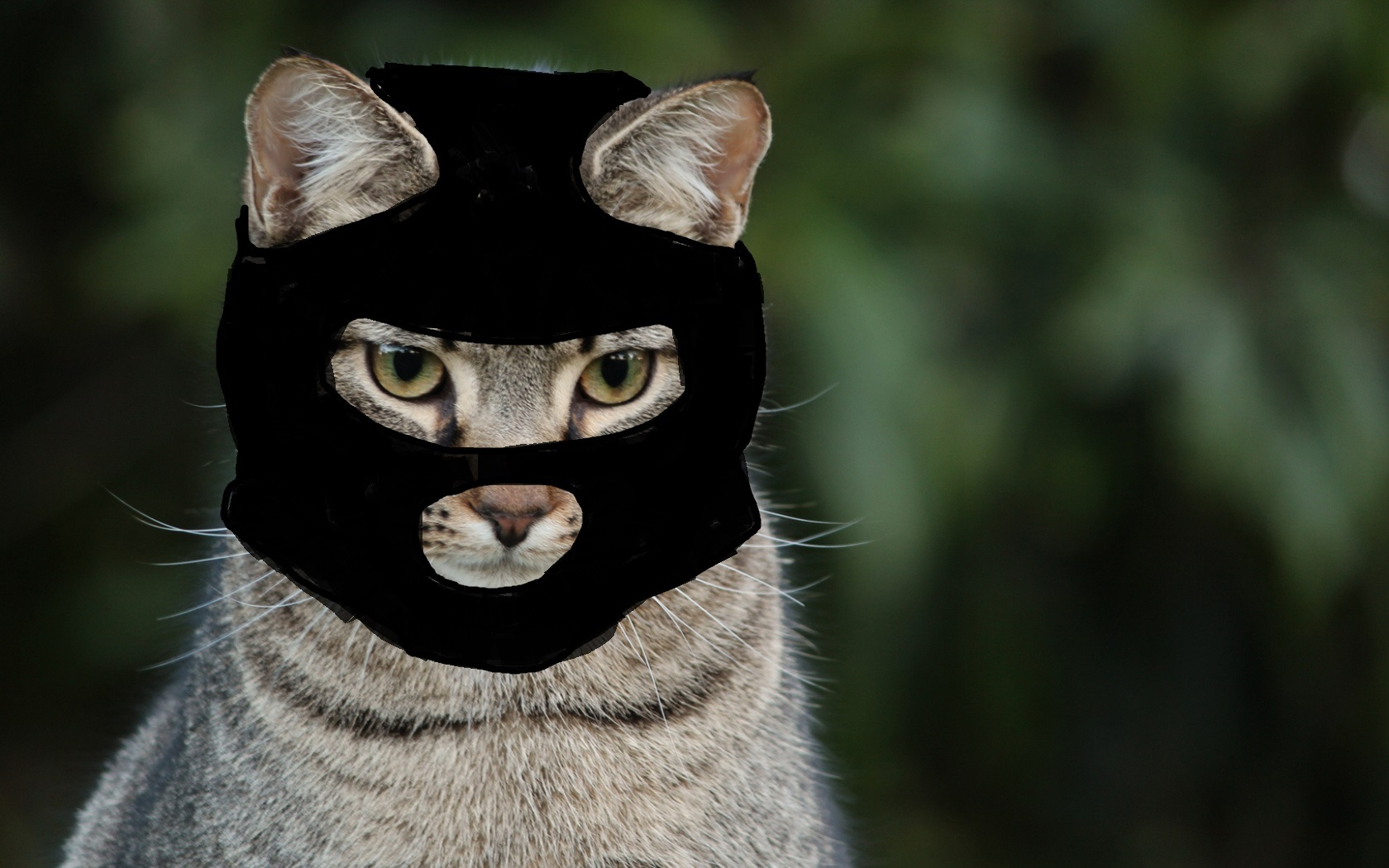 Vzrosel