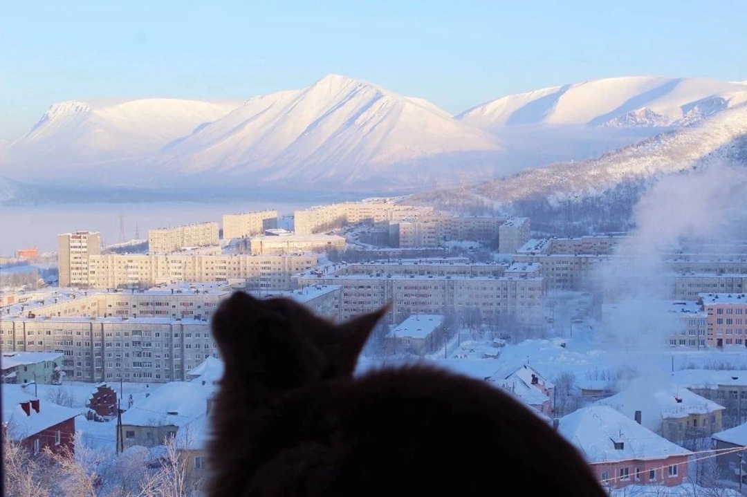 Kote