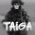 Taiga33vsile