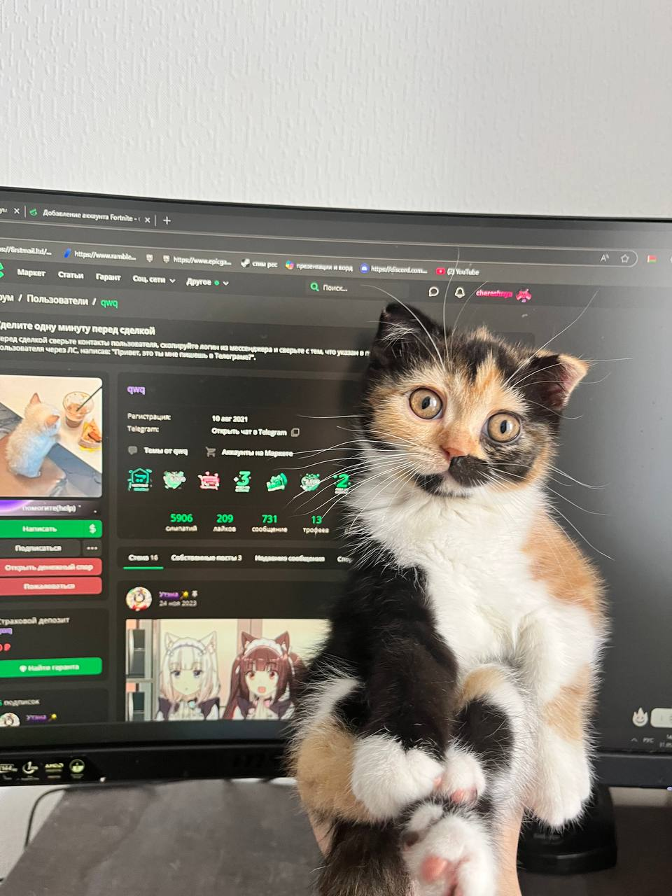 qwq