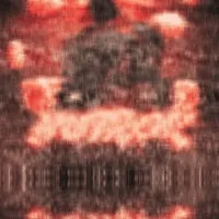 NUTROK