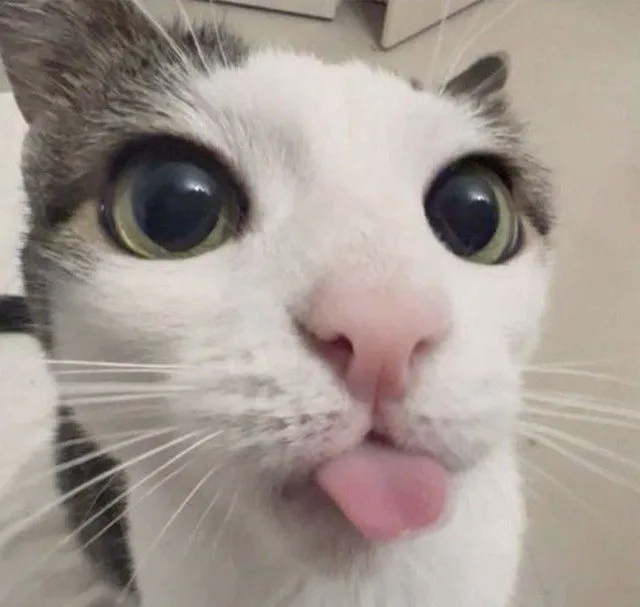 NNaked