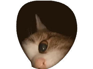 КРИПкрипочек