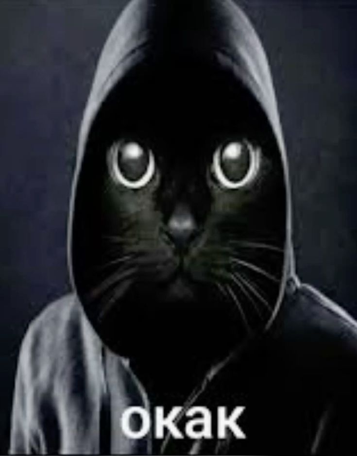 grimsmlbb