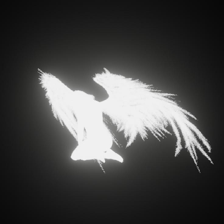 s01r1