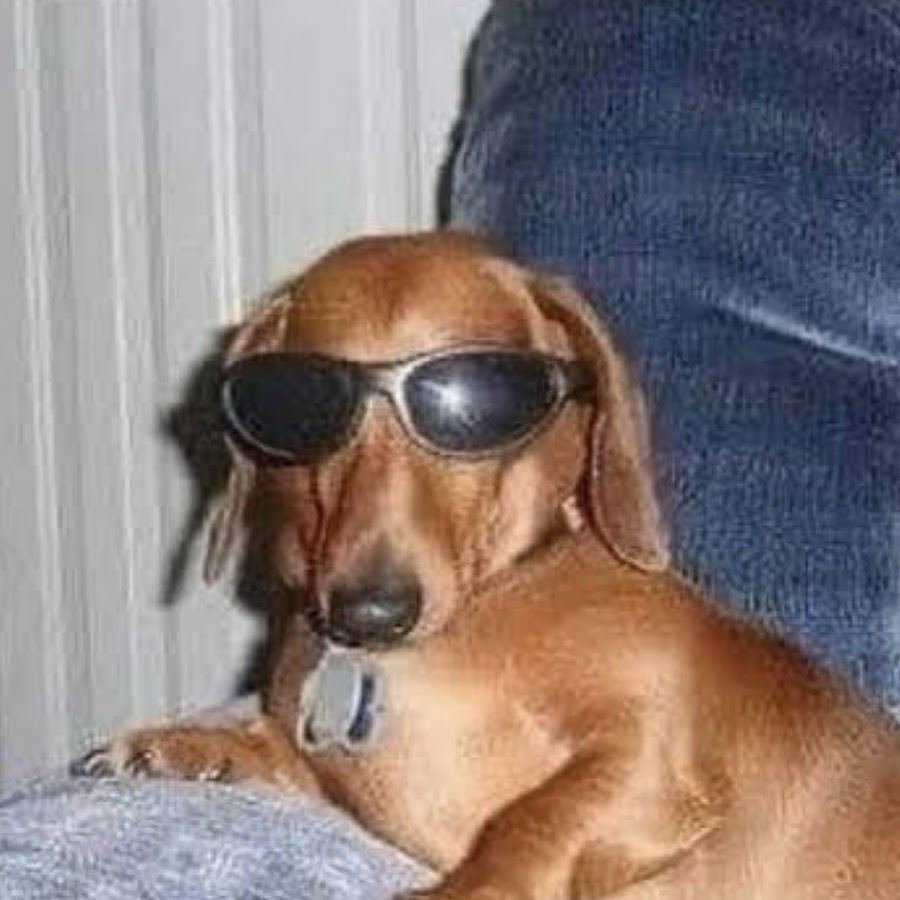 blind