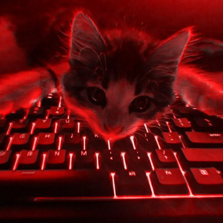 kykykyshka