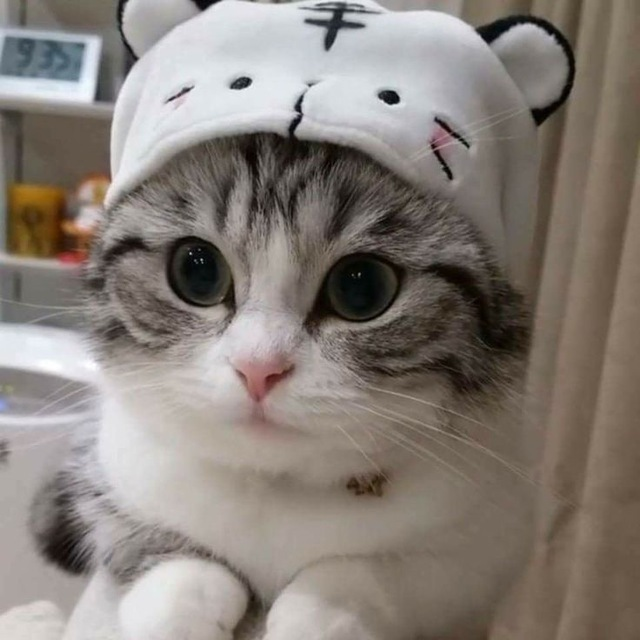 хапка