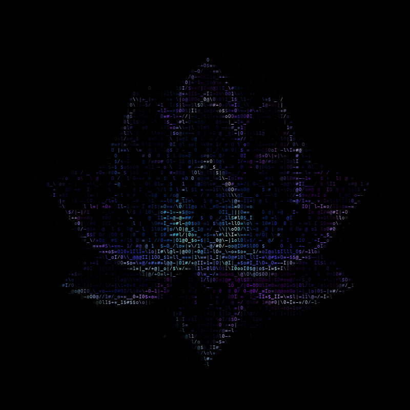 lotus993