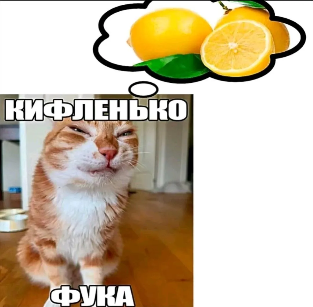 Nefepity