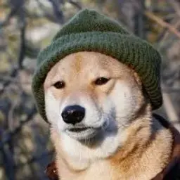 artyom1234