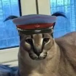 igorletovpoa