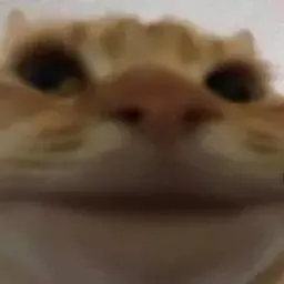 goterlox