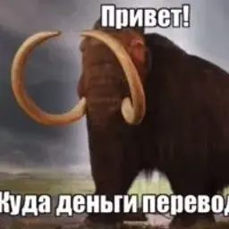 yaroiko