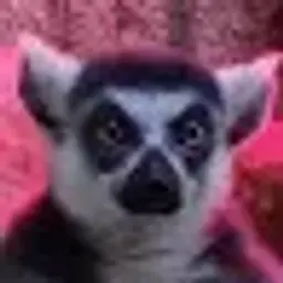 blaze1337_inactive4188386