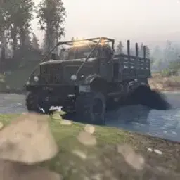 id256713529