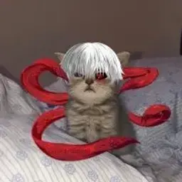 VoOodo
